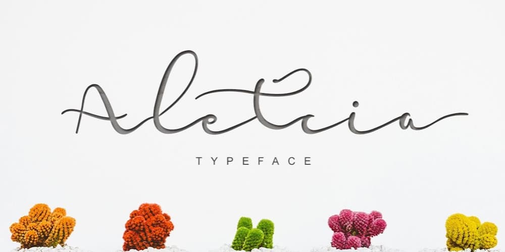 250 + Free Modern Script Fonts for Designers 200 Aletcia Font