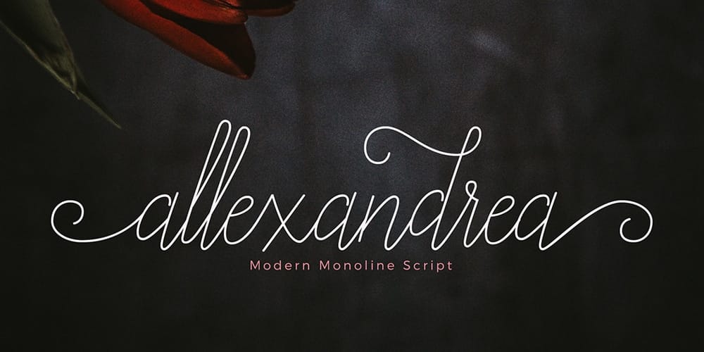 250 + Free Modern Script Fonts for Designers 425 Allexandrea Script