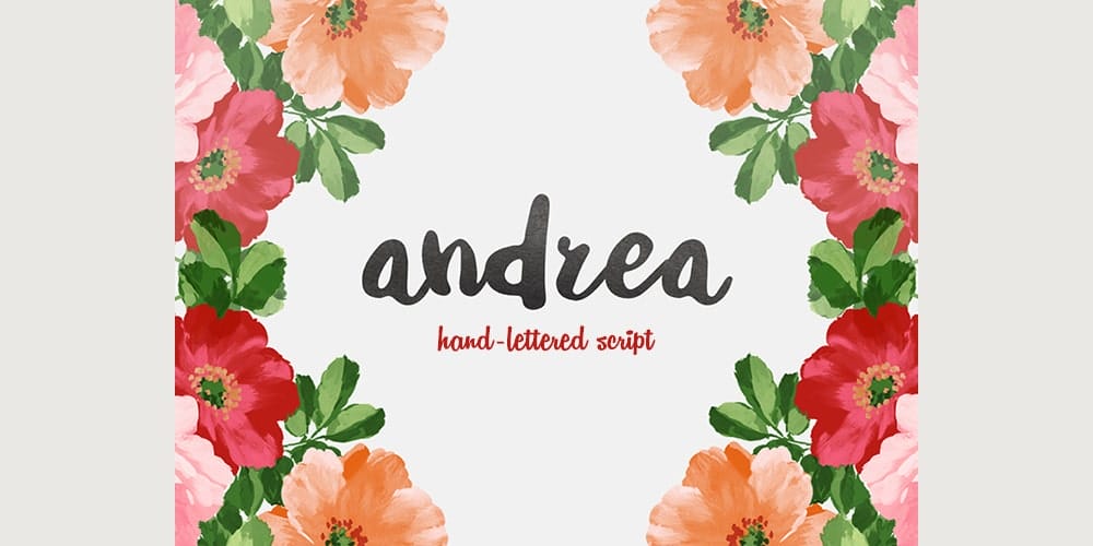 250 + Free Modern Script Fonts for Designers 385 Andrea Script