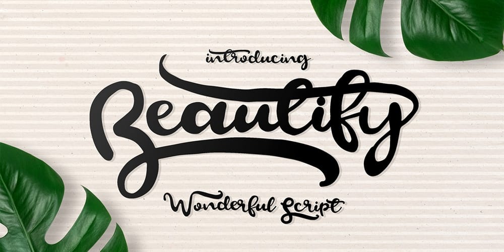 250 + Free Modern Script Fonts for Designers 367 Beautify Script Font