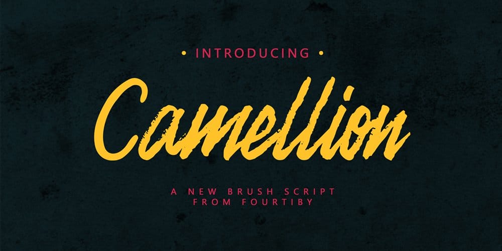 250 + Free Modern Script Fonts for Designers 336 Camellion Brush Script Typeface