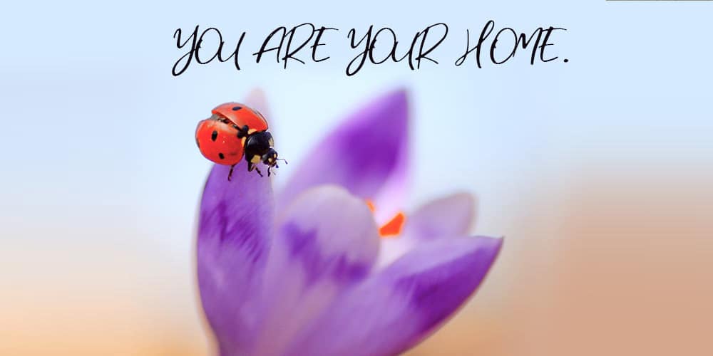 250 + Free Modern Script Fonts for Designers 450 Collection Of Free Script Fonts