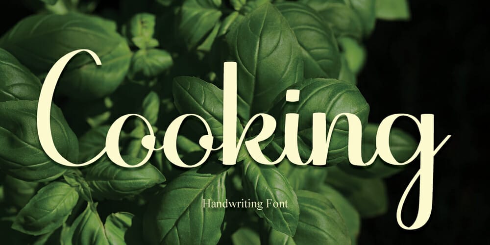 250 + Free Modern Script Fonts for Designers 247 Cooking