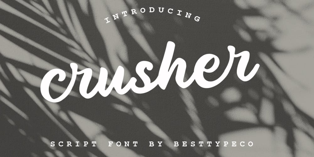 250 + Free Modern Script Fonts for Designers 47 Crusher-Script-Font