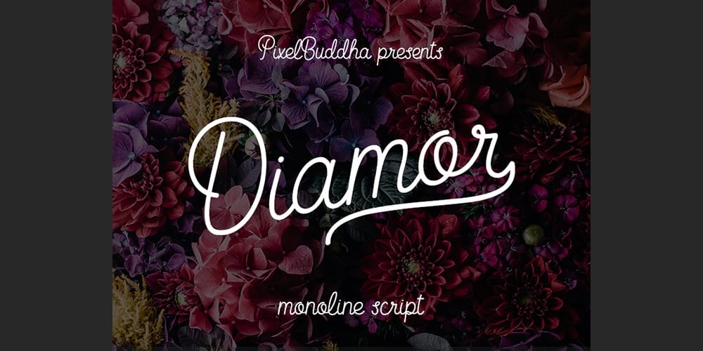 250 + Free Modern Script Fonts for Designers 400 Diamor Script