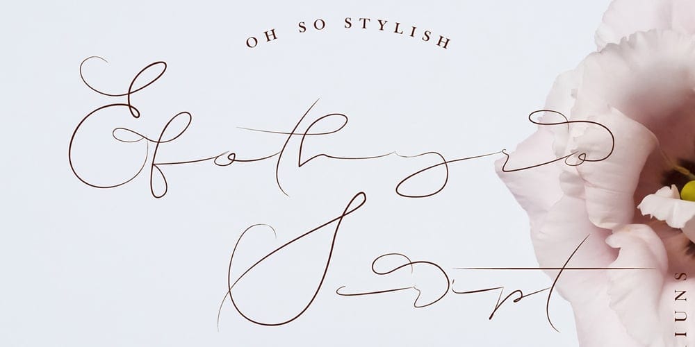 250 + Free Modern Script Fonts for Designers 112 Efothyro Script Font