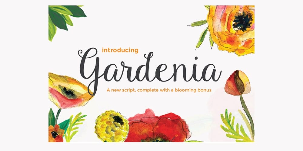 250 + Free Modern Script Fonts for Designers 389 Gardenia Script