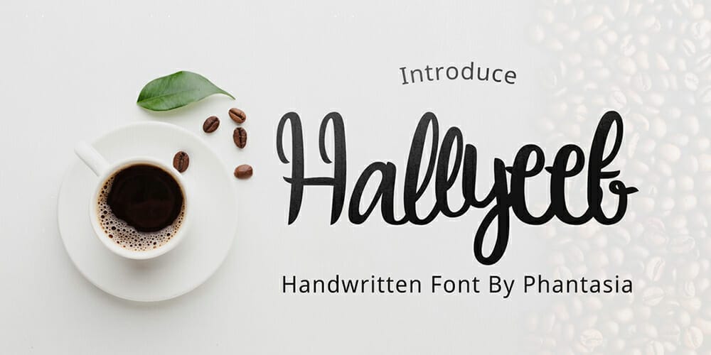 250 + Free Modern Script Fonts for Designers 190 Hallyeet Font