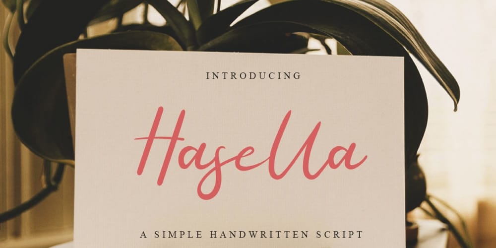 250 + Free Modern Script Fonts for Designers 88 Hasella Script Font