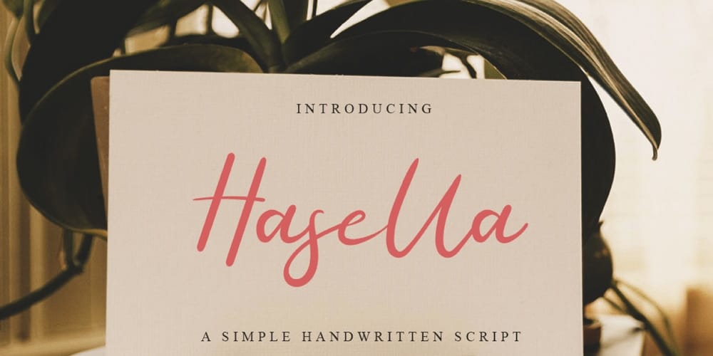 Hasella Script Font