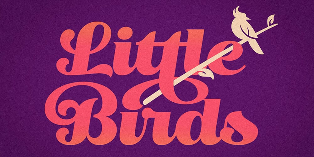 250 + Free Modern Script Fonts for Designers 73 Little Bird Vintage Script Font