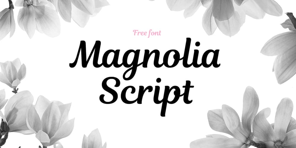 250 + Free Modern Script Fonts for Designers 381 Magnolia Script
