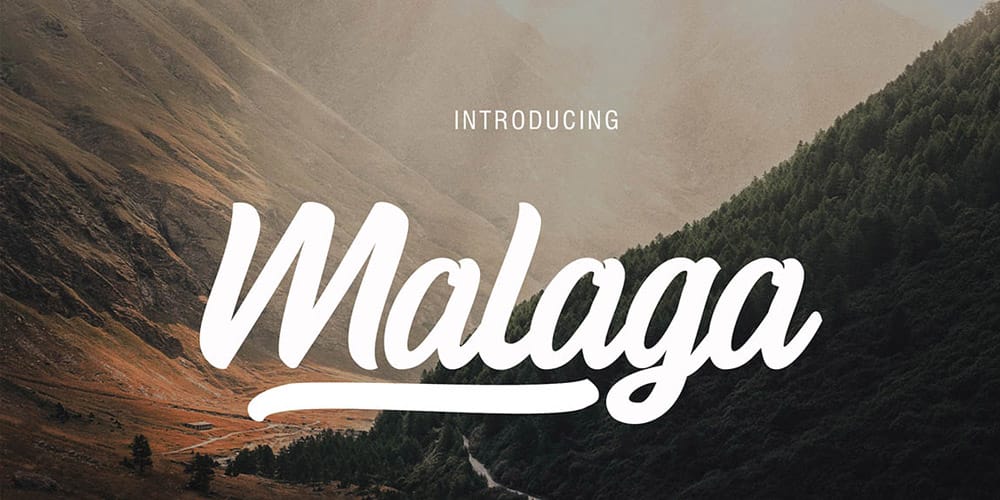 250 + Free Modern Script Fonts for Designers 387 Malaga Script