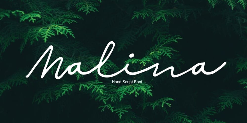 200+ Great Free Fonts for Designers 434 Malina Script Font