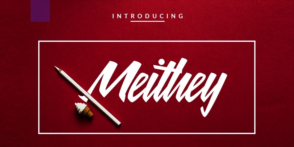 250 + Free Modern Script Fonts for Designers 271 Meithey Bold Script Font