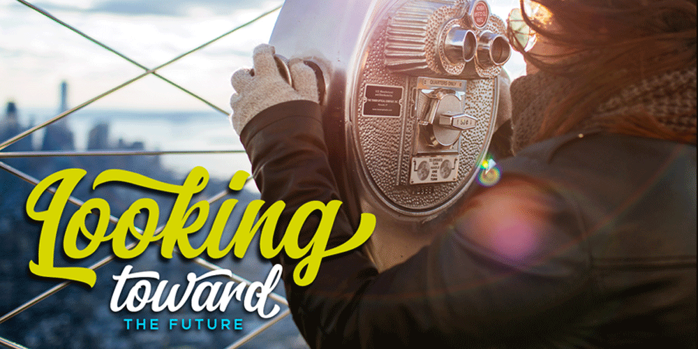 250 + Free Modern Script Fonts for Designers 133 Miganty