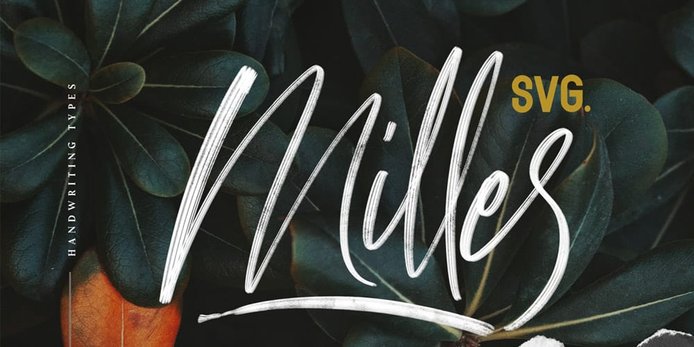 250 + Free Modern Script Fonts for Designers 109 Milles Script Font