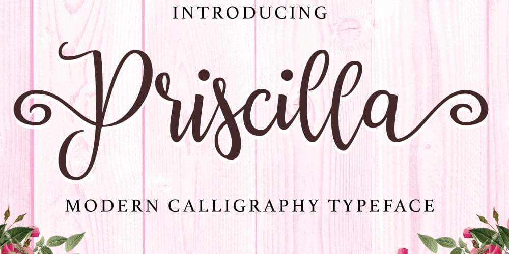 250 + Free Modern Script Fonts for Designers 383 Priscilla Script