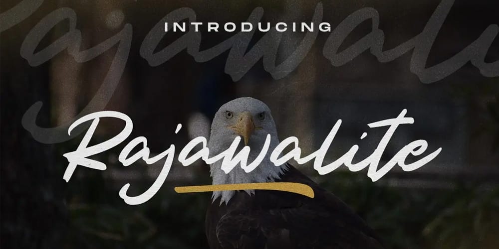 250 + Free Modern Script Fonts for Designers 58 Rajawalite