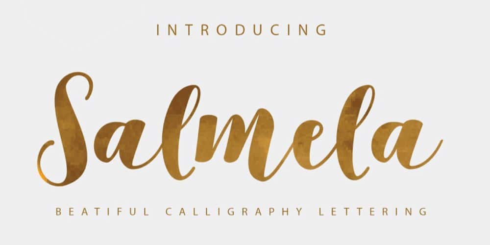 250 + Free Modern Script Fonts for Designers 344 Salmela Typeface
