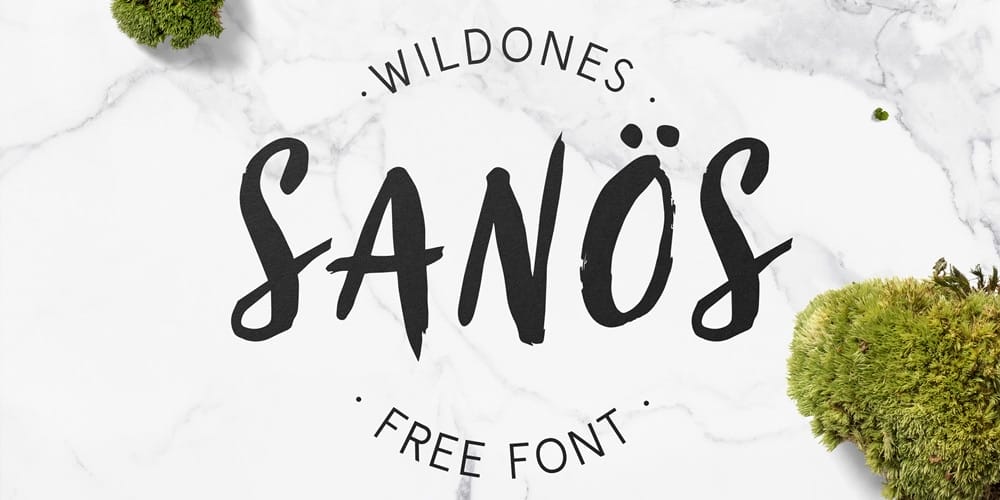 200+ Great Free Fonts for Designers 427 Sanos Brush Script Font