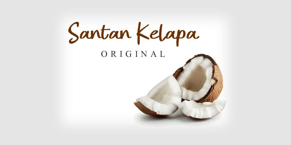 Santan Kelapa