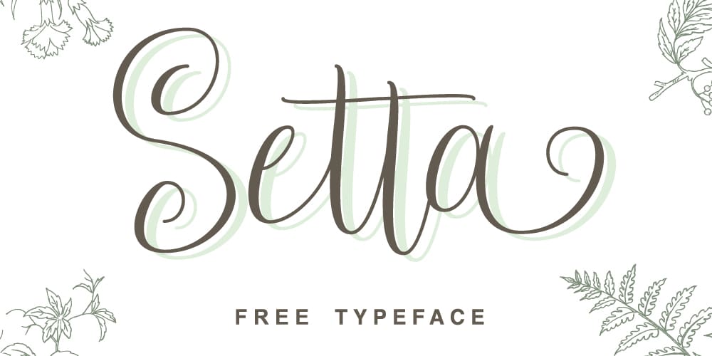 250 + Free Modern Script Fonts for Designers 402 Setta Script Typeface