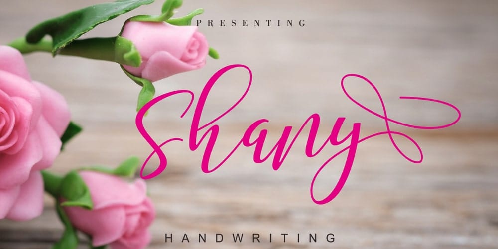 Shany Font