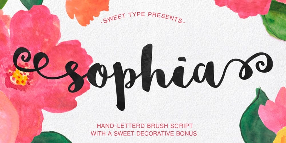 250 + Free Modern Script Fonts for Designers 394 Sophia Handlettered Brush Script Font