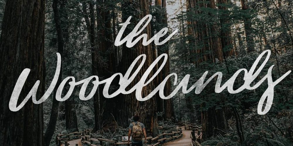 250 + Free Modern Script Fonts for Designers 390 The Woodlands