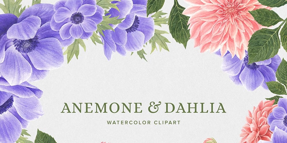 Free Watercolor Elements for Designers 81 Anemone and Dahlia Flowers Cliparts