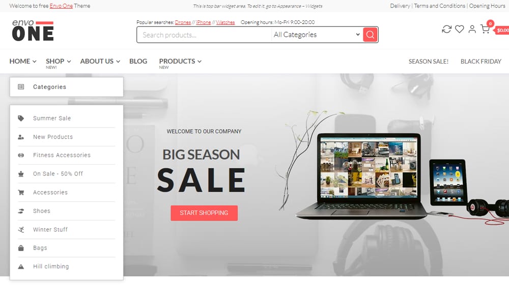 300+ Best Responsive WordPress Themes 25 Envo One