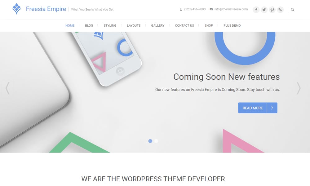 300+ Best Responsive WordPress Themes 6 Freesia Business