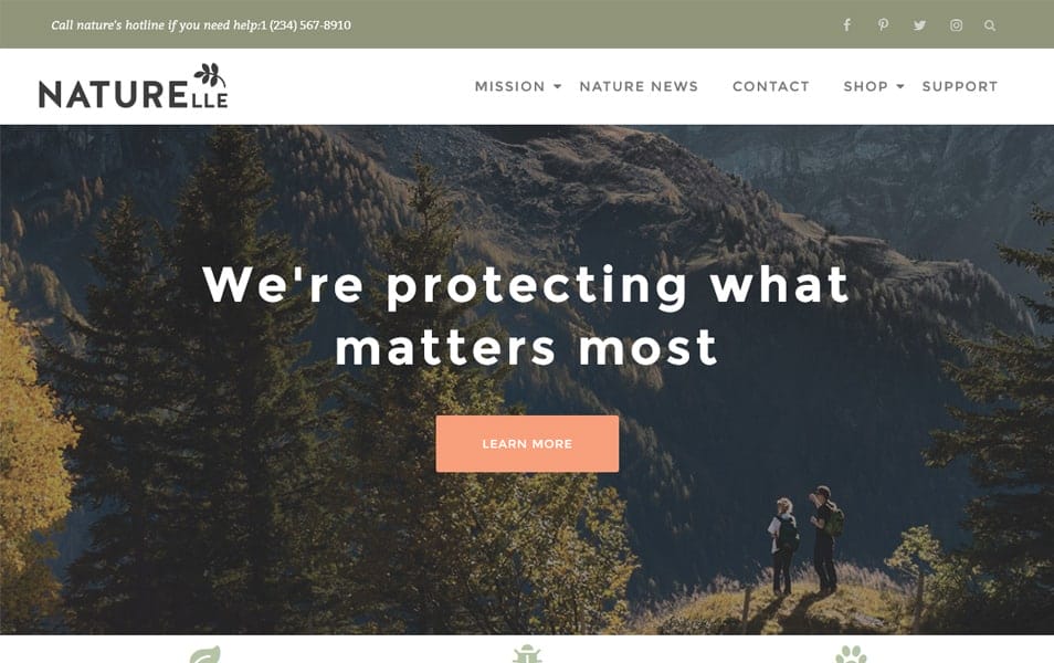 300+ Best Responsive WordPress Themes 166 Naturelle Responsive WordPress Theme