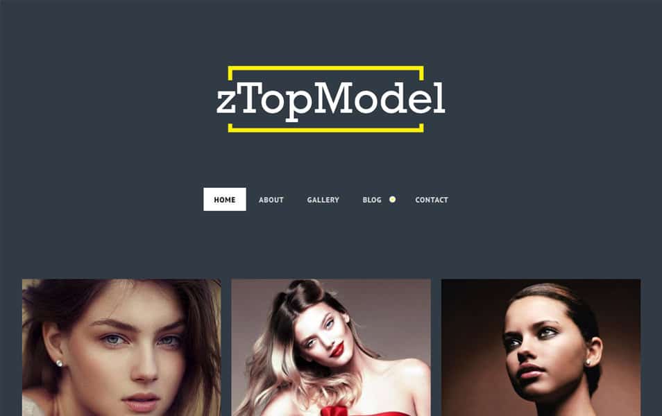 zTopModel