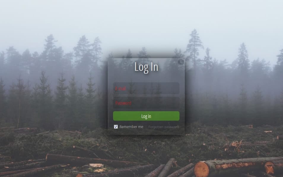 LogIn Form