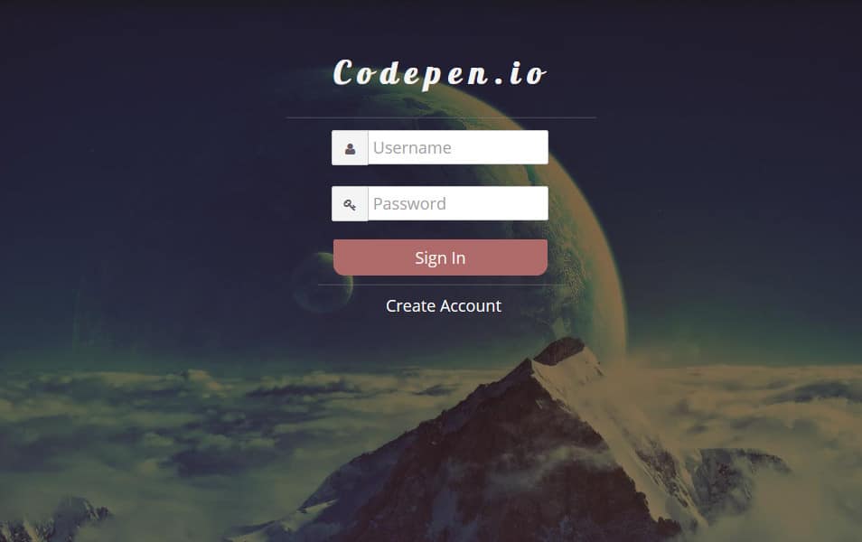 Login Form