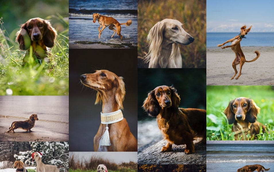 50+ Best jQuery Grid Plugins 19 jQuery Mosaic Flow