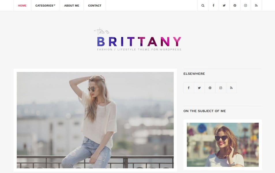 300+ Best Responsive WordPress Themes 227 Brittany Light Responsive WordPress Theme