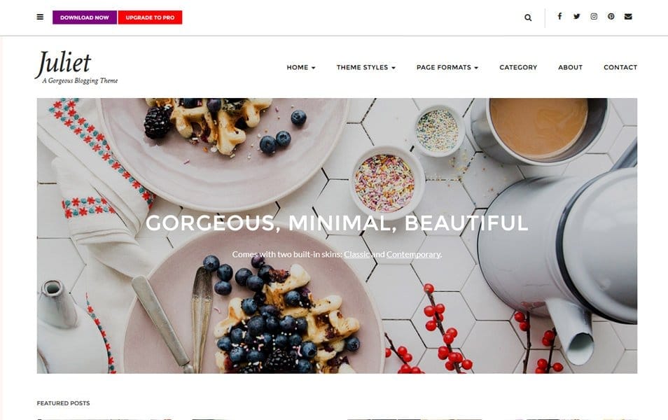 Juliet Responsive WordPress Theme