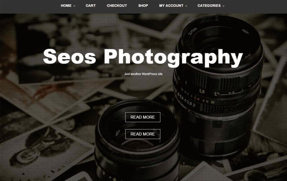 100+ Free Photography WordPress Themes 2024 27 Seos Photography Responsive WordPress Theme