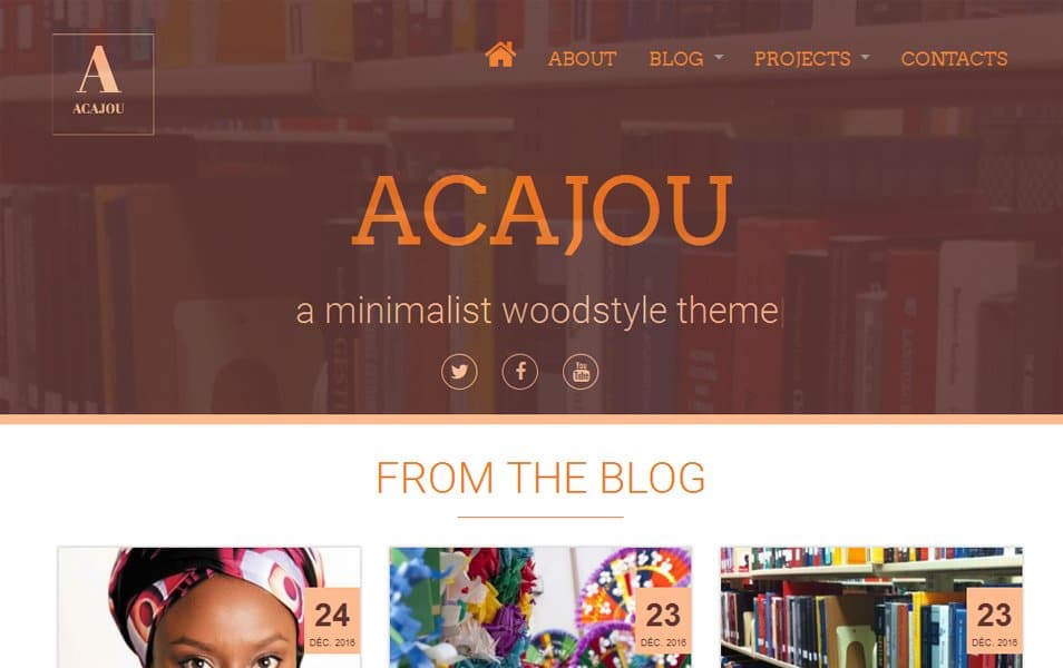 Acajou Responsive WordPress Theme