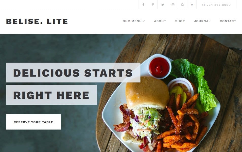 300+ Best Responsive WordPress Themes 102 Belise Lite