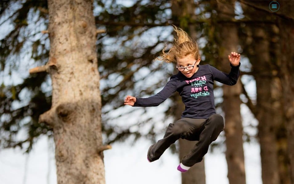 100+ Free Photography WordPress Themes 2024 25 Click