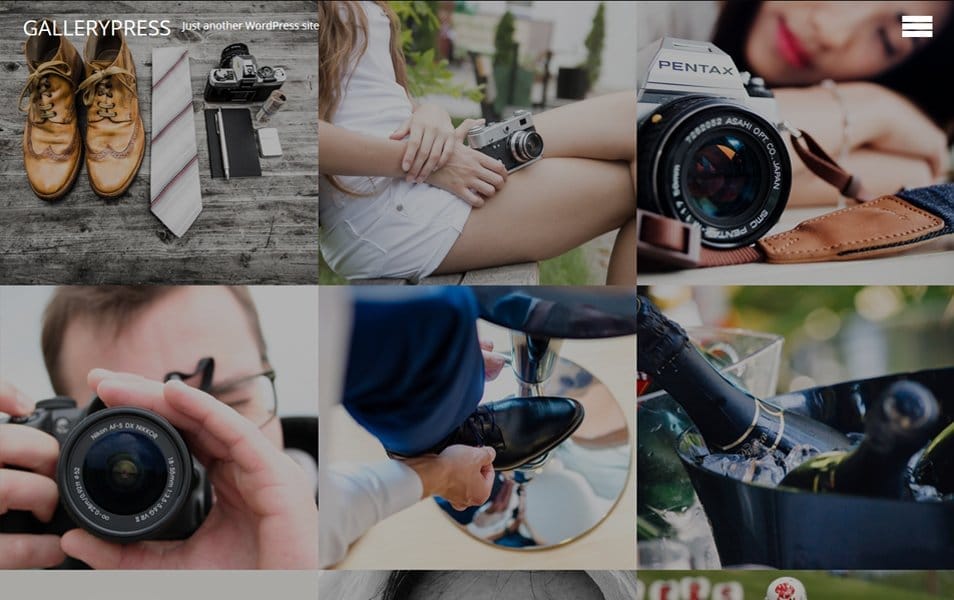100+ Free Photography WordPress Themes 2024 24 GalleryPress