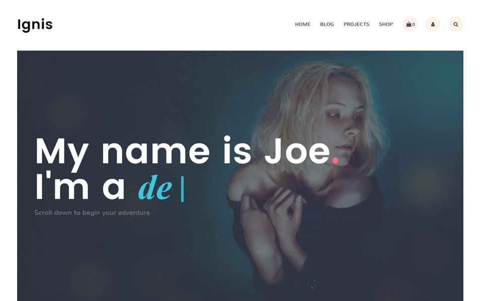 150+ Best Free Wordpress Portfolio Themes 2025 22 Ignis
