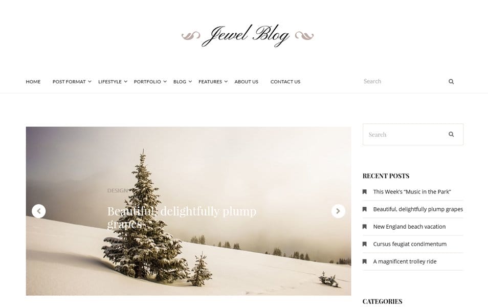 50+ Popular Free Personal Blog WordPress Themes 2024 17 Jewel Blog