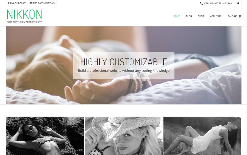 50+ Popular Free Personal Blog WordPress Themes 2024 30 Nikkon
