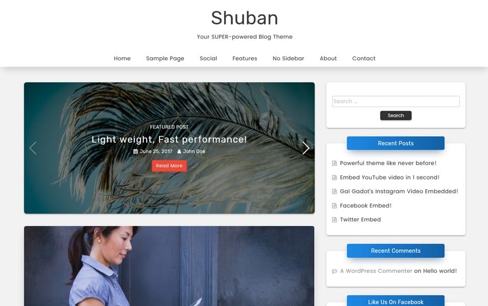 50+ Popular Free Personal Blog WordPress Themes 2024 26 Shuban