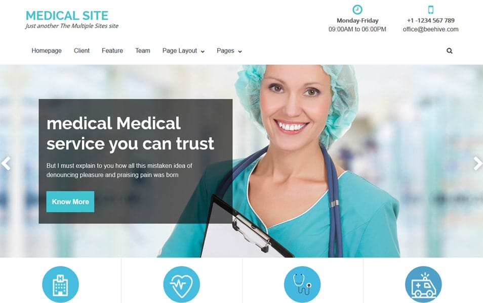 25+ Best Free Multipurpose WordPress Themes 2025 4 The Multiple